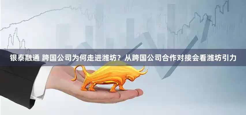 银泰融通 跨国公司为何走进潍坊？从跨国公司合作对接会看潍坊引力