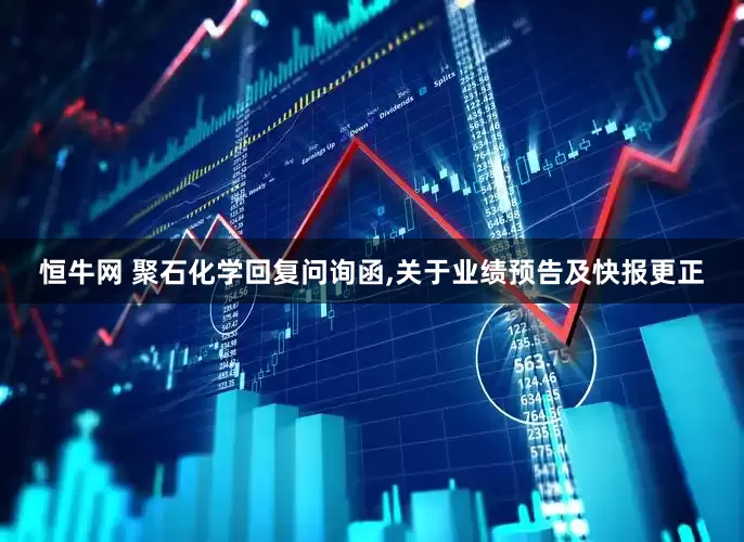 恒牛网 聚石化学回复问询函,关于业绩预告及快报更正