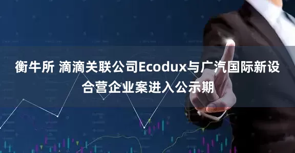 衡牛所 滴滴关联公司Ecodux与广汽国际新设合营企业案进入公示期