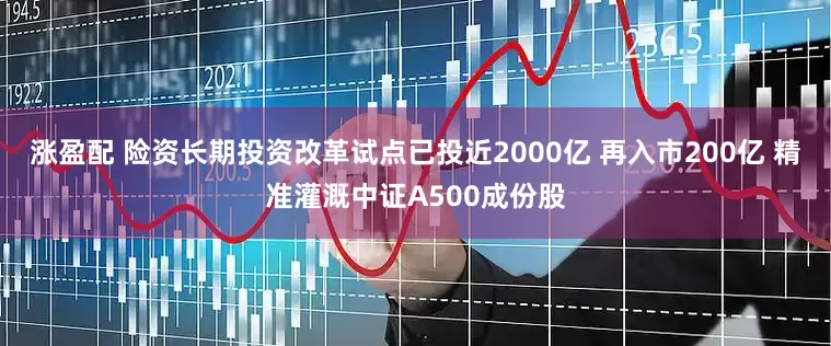 涨盈配 险资长期投资改革试点已投近2000亿 再入市200亿 精准灌溉中证A500成份股