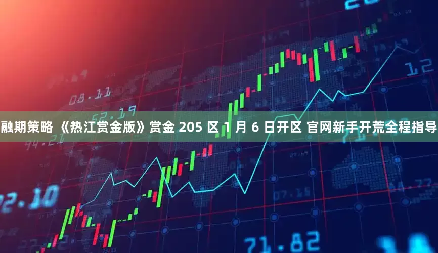 融期策略 《热江赏金版》赏金 205 区 1 月 6 日开区 官网新手开荒全程指导